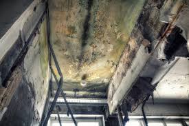 Best Mold Removal for HVAC Installations  in Bayside, WI